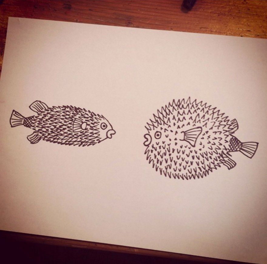 pufferfish
